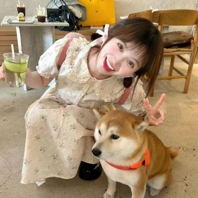 灰姑娘的陷阱