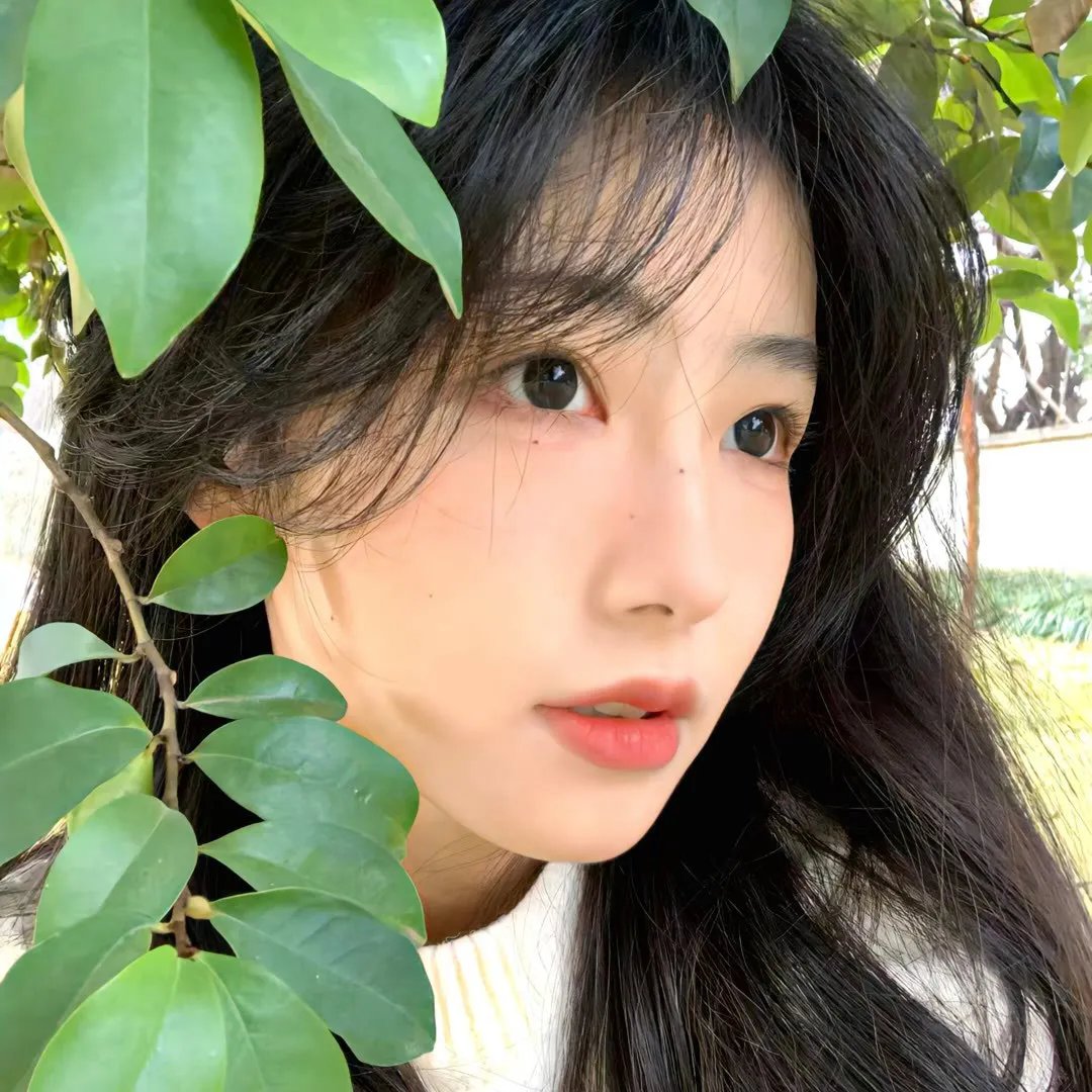 天空中的所有光