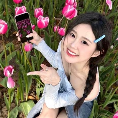 美国派:高潮再起